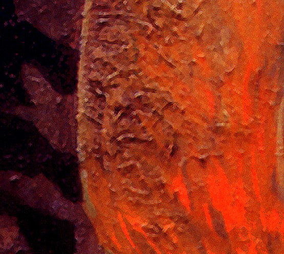 Zeh-detail2161.jpg